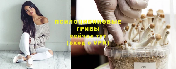меф Алексин