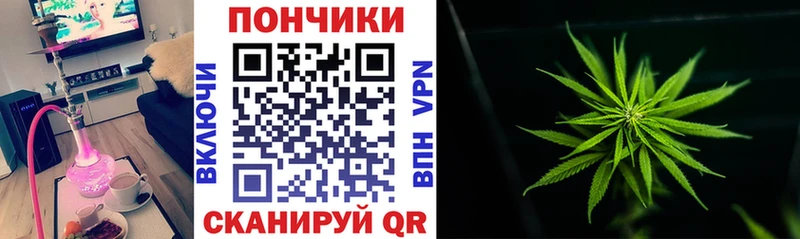 наркота  hydra как зайти  Бошки Шишки план  Ленинск-Кузнецкий 